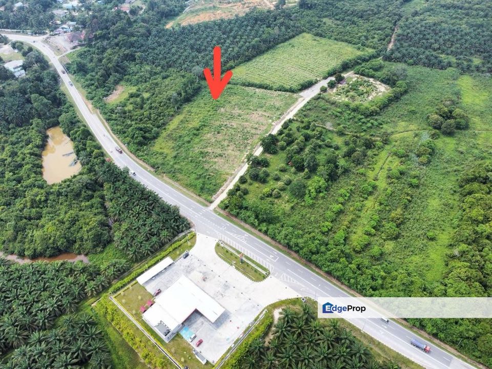 Tanah Pertanian di Kg Sg Kepong Mentakab Untuk Dijual, Pahang, Mentakab