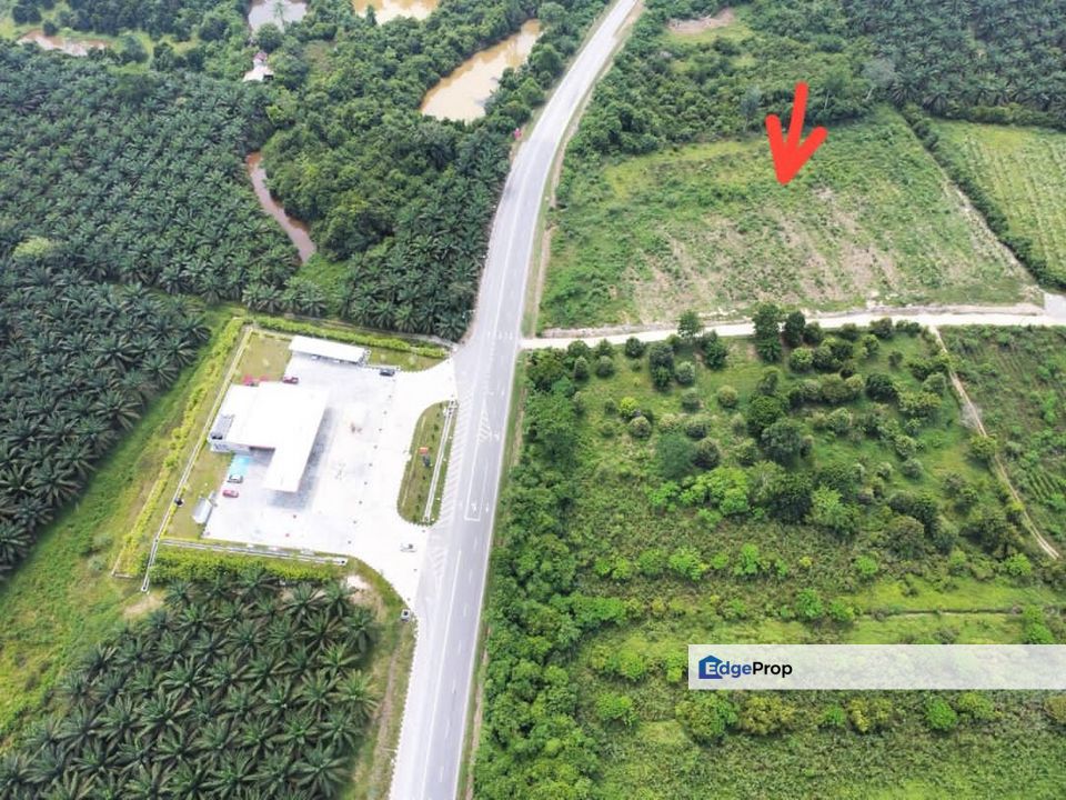 Tanah Pertanian di Kg Sg Kepong Mentakab Untuk Dijual, Pahang, Mentakab