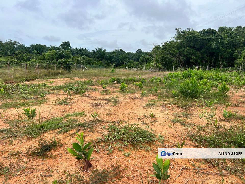 Tanah Lot Bangunan bebas banjir di Pulau Tawar Jerantut, Pahang, Jerantut