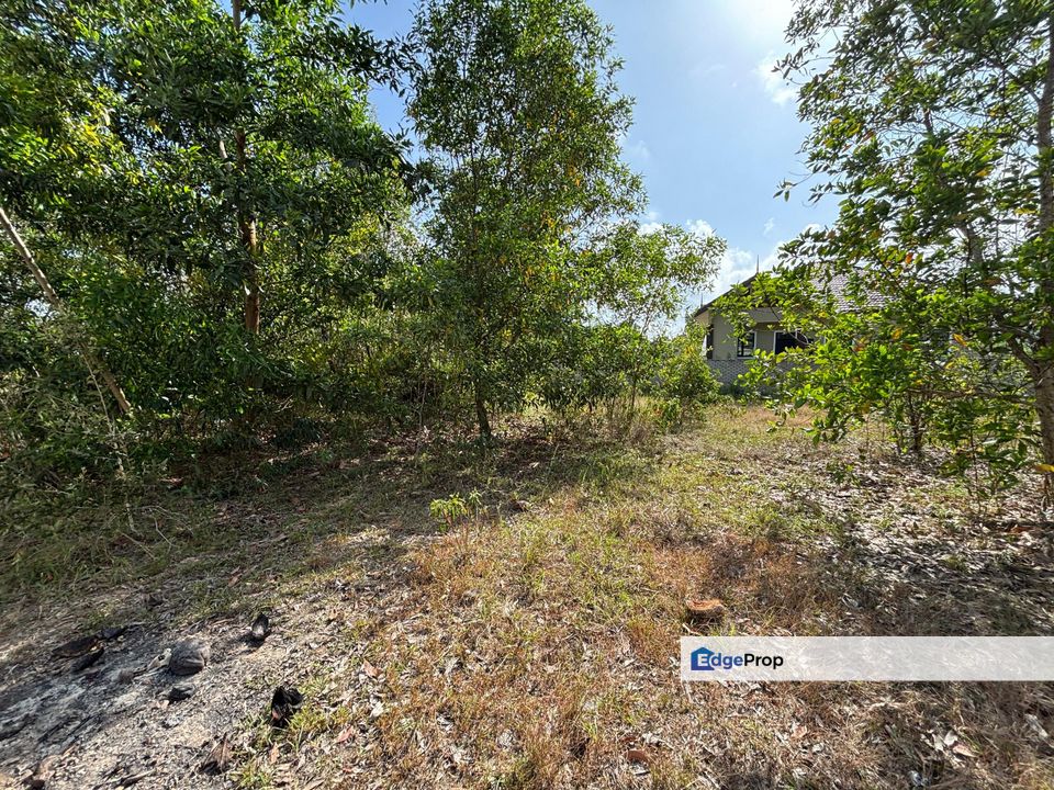 3 Lot Tanah Banglo Di Kg Tok Kaya Kanan,Kemasik,Kemaman Terengganu, Terengganu, Kemasik