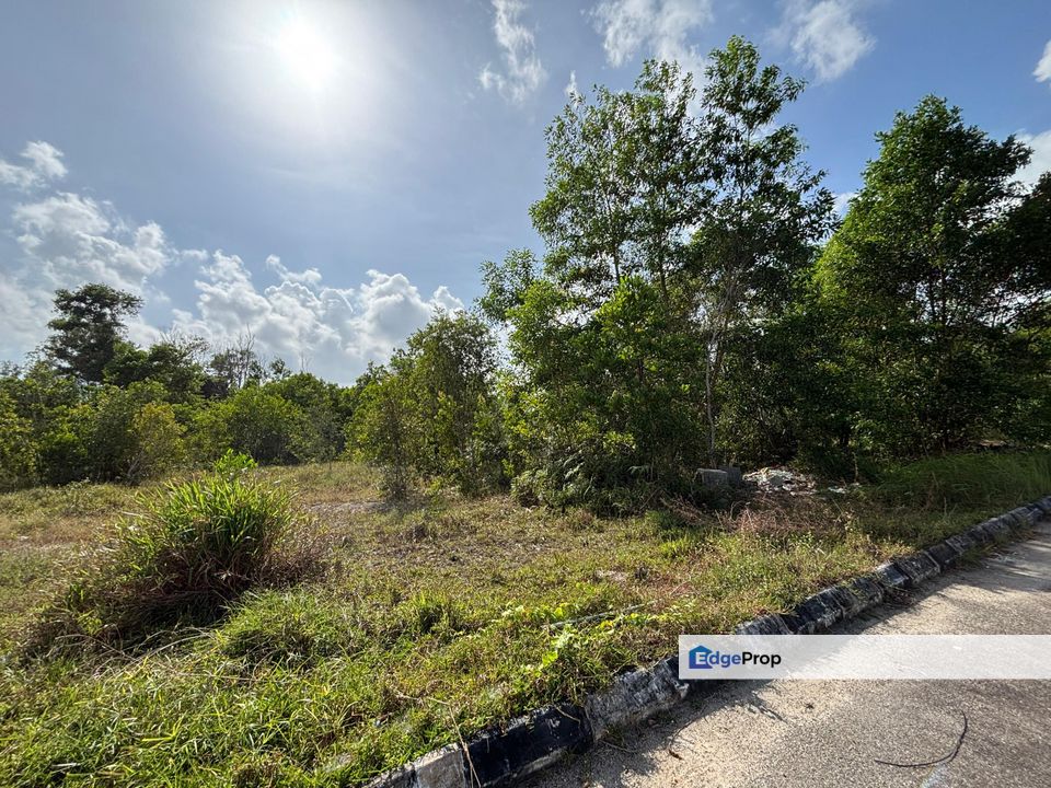 3 Lot Tanah Banglo Di Kg Tok Kaya Kanan,Kemasik,Kemaman Terengganu, Terengganu, Kemasik