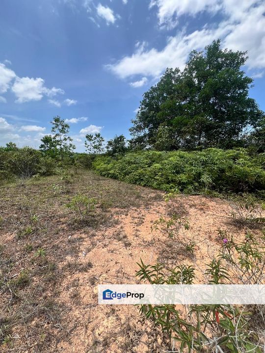Tanah Lot Bangunan Di Pulau Tawar Jerantut <bebas banjir>, Pahang, Jerantut