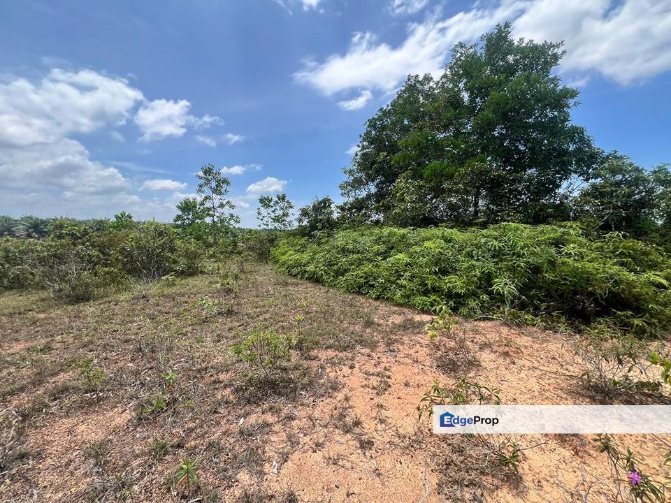 Tanah Lot Bangunan Di Pulau Tawar Jerantut <bebas banjir>, Pahang, Jerantut