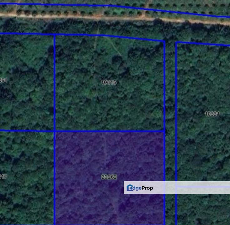 Tanah Sawit 3 Ekar Di Bandar Paloh Hinai 2, Pekan,Pahang, Pahang, Pekan