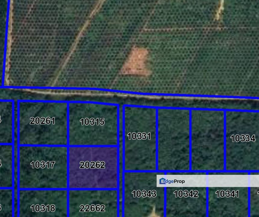 Tanah Sawit 3 Ekar Di Bandar Paloh Hinai 2, Pekan,Pahang, Pahang, Pekan