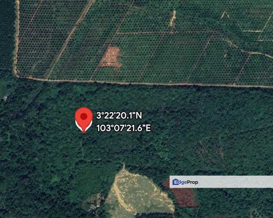 Tanah Sawit 3 Ekar Di Bandar Paloh Hinai 2, Pekan,Pahang, Pahang, Pekan