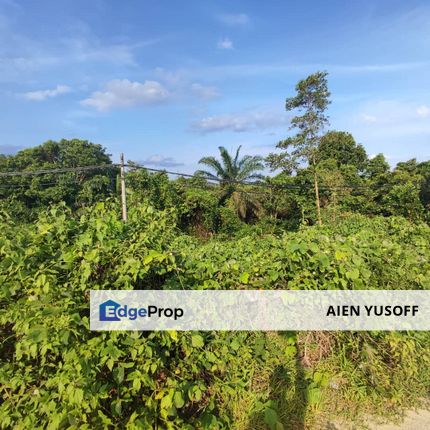 Tanah Pertanian Mukim Bebar, Tepi Petronas Simpang Chini Pekan, Pahang, Pekan