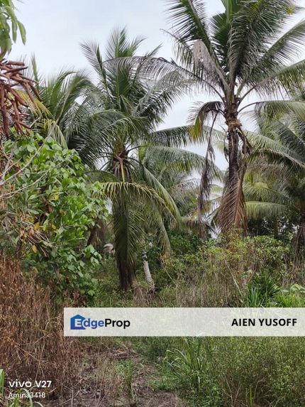 Tanah Pertanian Seri Damai near to Bandar Jaya Gading, Pahang, Kuantan