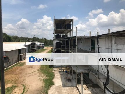 FARM/LADANG AYAM include Workers and 2storey Banglo Pahang, Pahang, Pekan