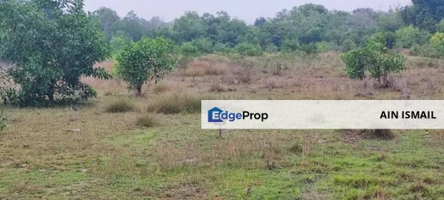 20 TANAH LOT BANGLO DIJUAL SEKALIGUS ( 4 EKAR) KAMPUNG HIJRAH, PENOR, Pahang, Kuantan