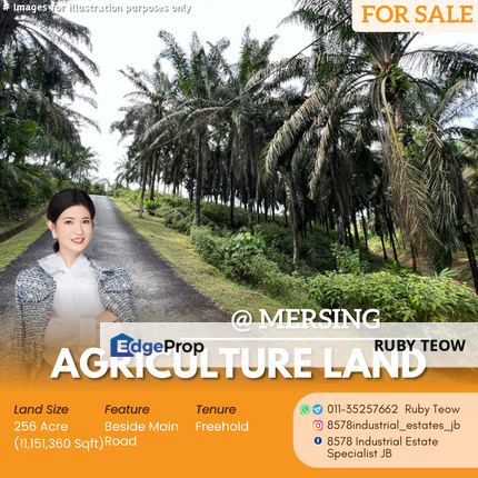 Mersing - Agriculture Land for Sale, Johor, Mersing