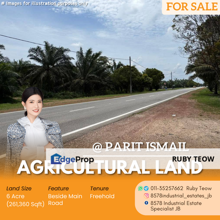 Benut Johor Parit Ismail - Agricultural Land for Sale, Johor, Pontian