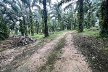 Kampung Melayu Gelang Patah