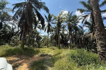 Kampung Paya Bukit Batu