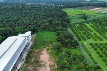 Pekan Nanas Industrial