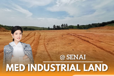 Senai Industrial Park