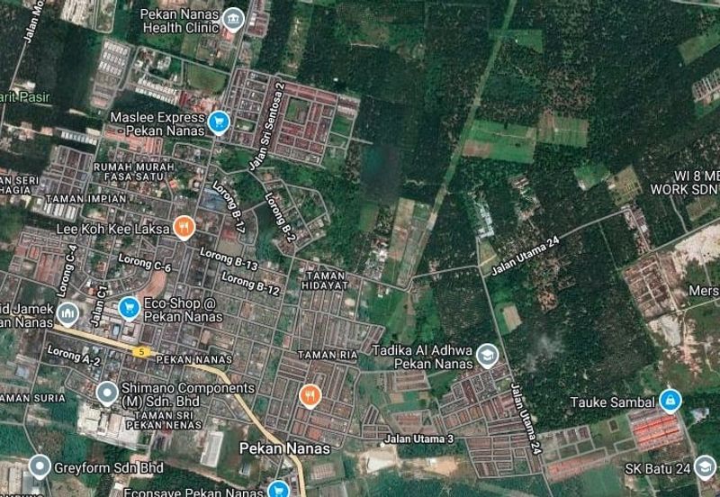 Taman Sri Pekan Nanas