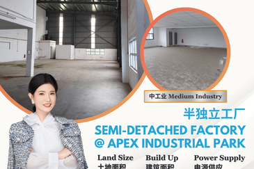 Apex Bizhub Desa Cemerlang