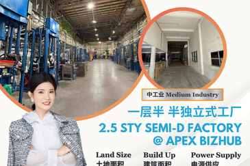 Apex Bizhub Desa Cemerlang