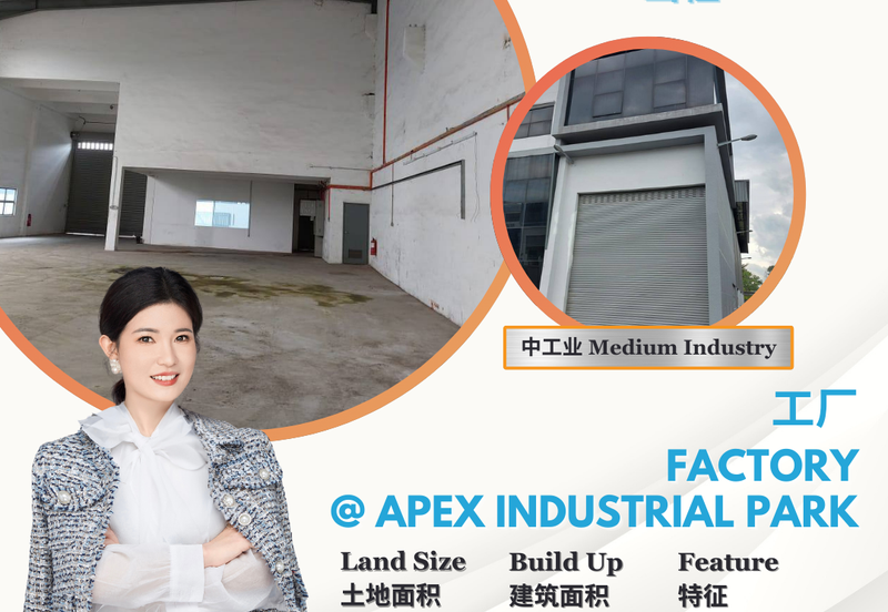 Apex Bizhub Desa Cemerlang
