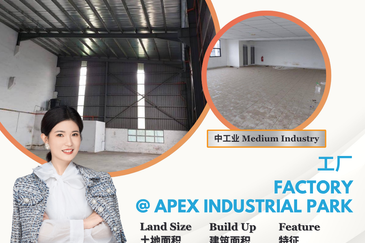 Apex Bizhub Desa Cemerlang
