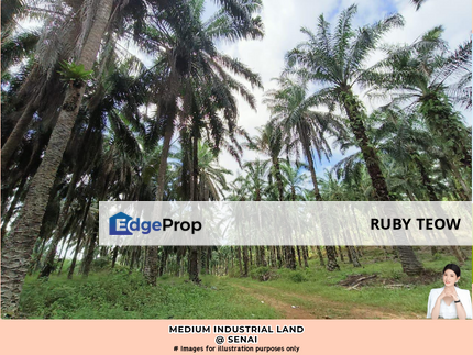 Senai - Medium Industrial Land For Sale, Johor, Senai