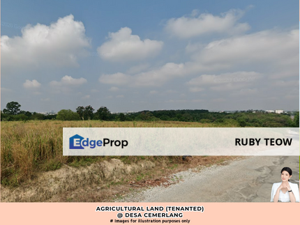 Desa Cemerlang - Agricultural Land (Tenanted) For Sale, Johor, Ulu Tiram