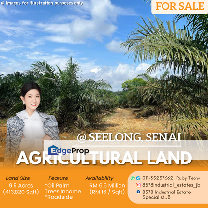 Seelong - Agricultural Land For Sale, Johor, Senai