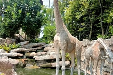 Desa Idaman, Taman Puchong Prima