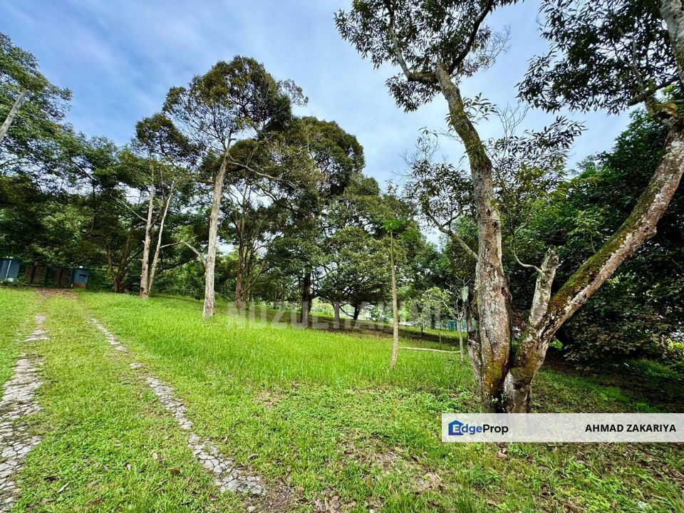 3.87 Ekar Tanah Dusun Durian, Freehold, Akses jalan bertar, Jalan ...