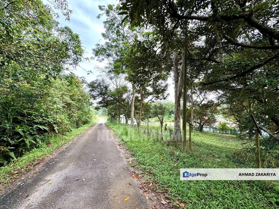 3.87 Ekar Tanah Dusun Durian, Freehold, Akses jalan bertar, Jalan ...
