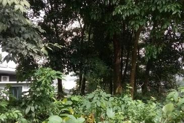 Freehold Bungalow Lot Country Heights Damansara For Sale