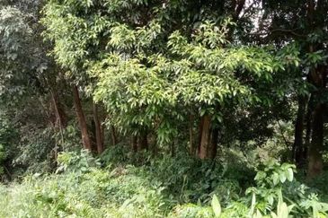 Freehold Bungalow Lot Country Heights Damansara For Sale