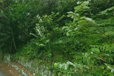 KAMPUNG DATO' AHMAD SAID