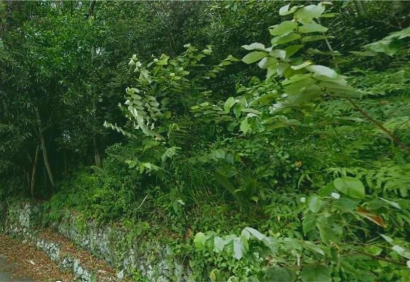 KAMPUNG DATO' AHMAD SAID