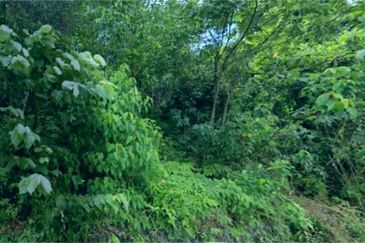 KAMPUNG DATO' AHMAD SAID