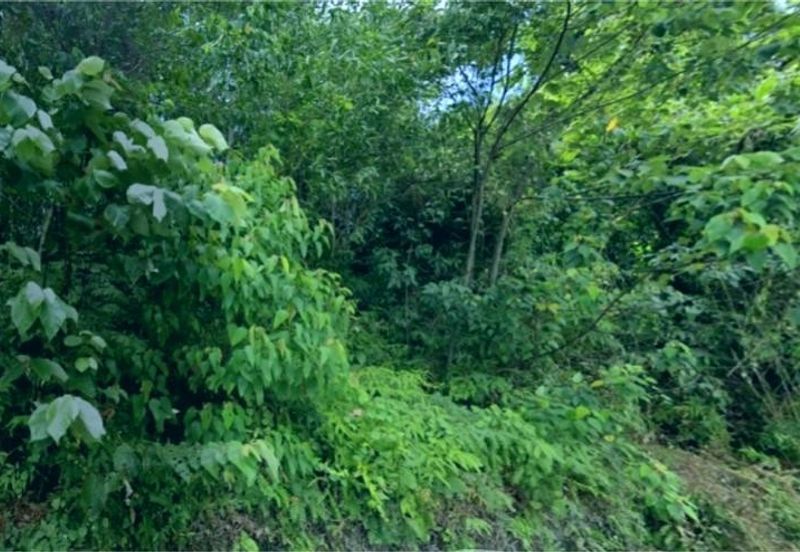 KAMPUNG DATO' AHMAD SAID