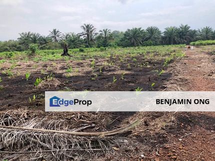 Pekan Nanas Agriculture Land , Johor, Pontian