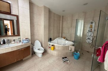 Stulang Laut / Darat