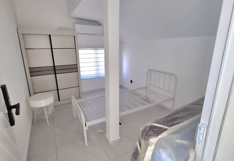 Stulang Laut / Darat