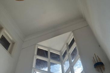 Stulang Laut / Darat