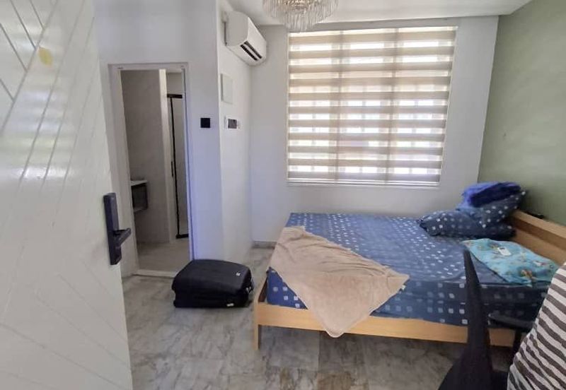 Stulang Laut / Darat