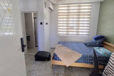 Stulang Laut / Darat