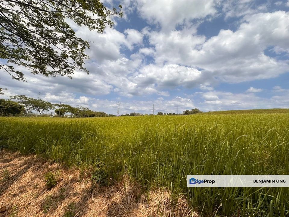 Leisure Farm Gelang Patah Land For Sale , Johor, Gelang Patah