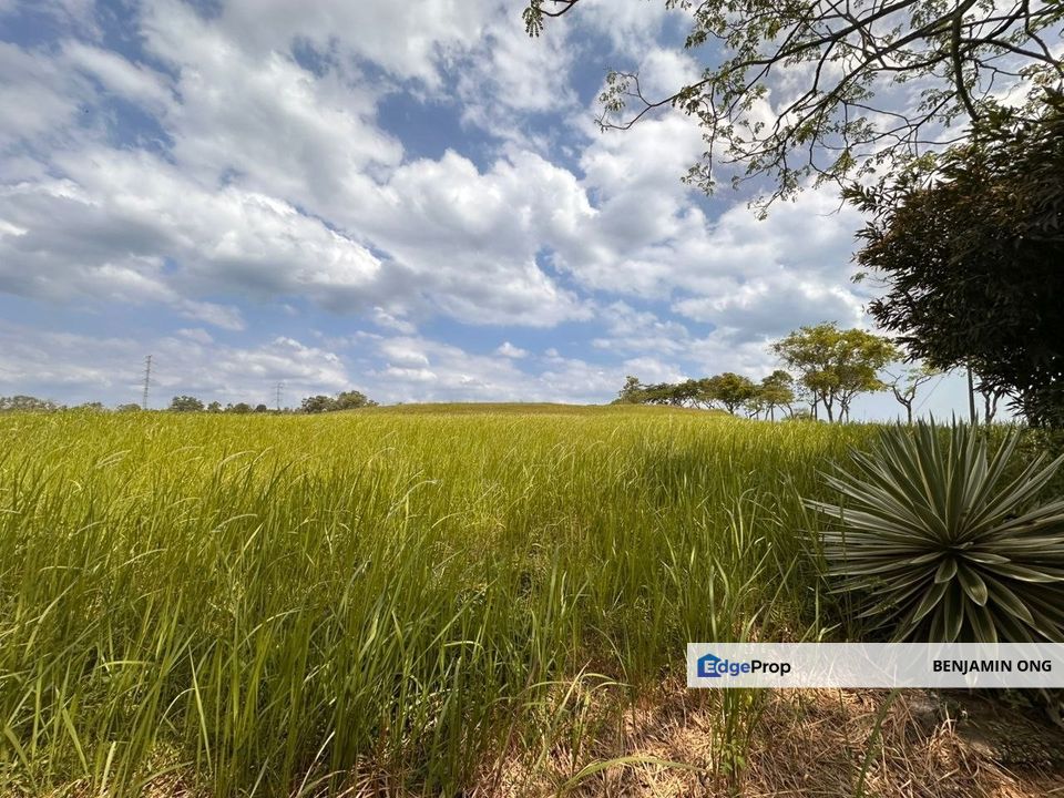 Leisure Farm Gelang Patah Land For Sale , Johor, Gelang Patah