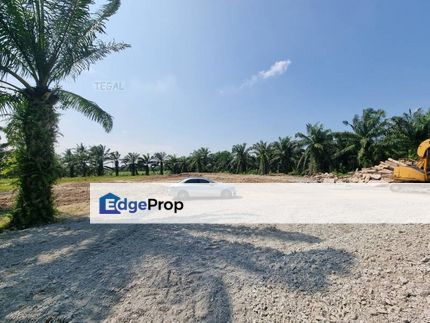 Flat Land 1 Acre Kapar Batu 9 Jati Kanan With Fencing Kampung Perepat, Selangor, Kapar 