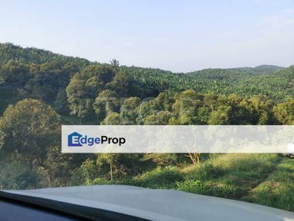 Infra Ready Beside Road 15.5 Acres Durian Farm Sg Klau Raub Old Musang, Pahang, Raub