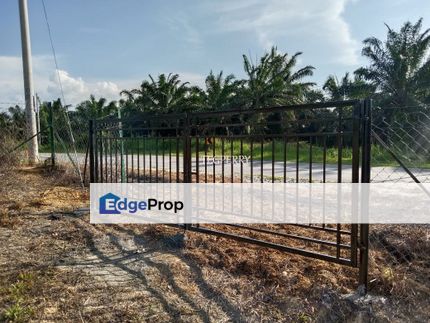 Durian Farm Simpang Pertang Negeri Sembilan 26.8 Acre Infra Ready, Negeri Sembilan, Jelebu