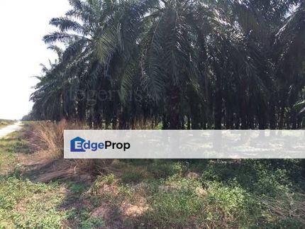 Freehold Zoning Industrial Jenjarom 2 Acres Land Near to Main Road, Selangor, Jenjarom