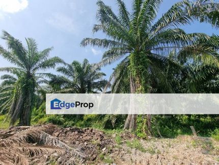Jenjarom Residential Land 8 Acres Mature Area Freehold!, Kuala Lumpur, Seputeh